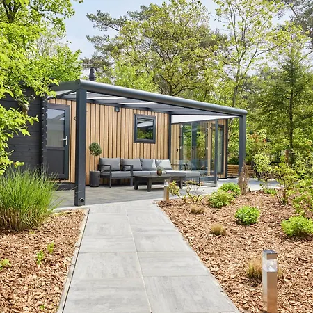 Pimpelmees In Het Bos