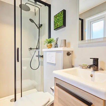 Pimpelmees In Het Bos