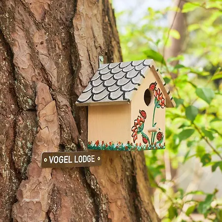 Pimpelmees In Het Bos Holiday home