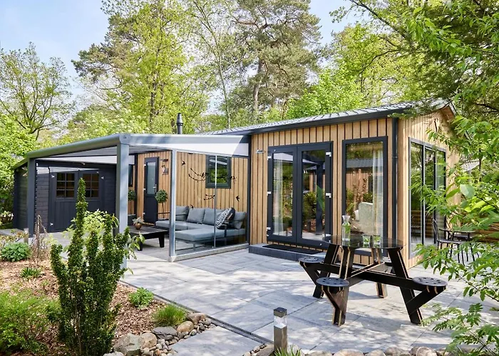 Pimpelmees In Het Bos Nunspeet