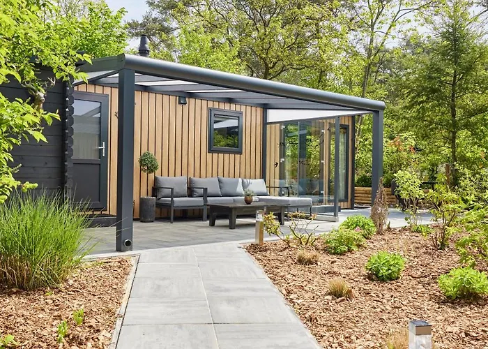 Pimpelmees In Het Bos