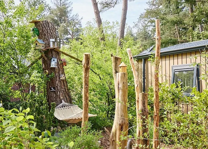 Pimpelmees In Het Bos *