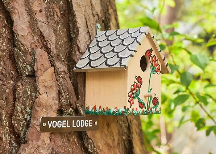 Pimpelmees In Het Bos Prázdninový dům